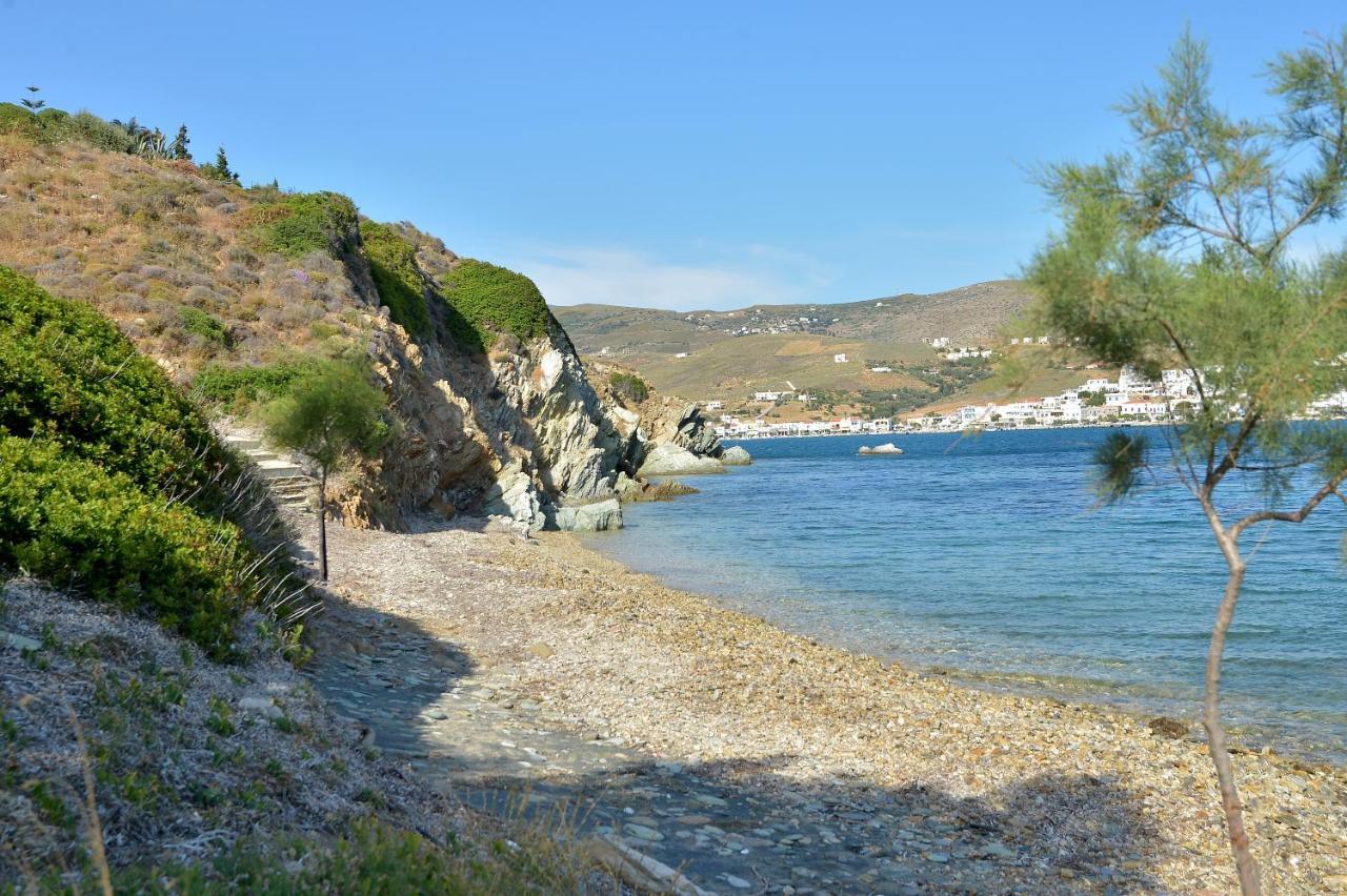 Andros Homes Sea Side Apartment & Studio 加夫里翁 外观 照片